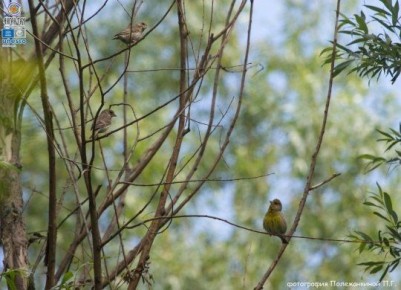 ����� �������� � �����. ������ ���������� ���� �������� � �������� ������-��� � ����������� ������