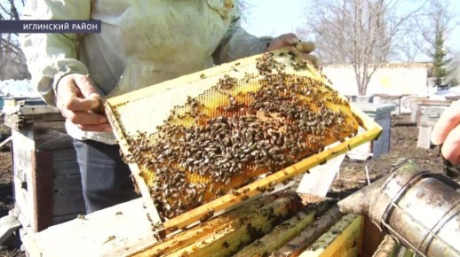 ��������� �������� ��������� � ������ ������