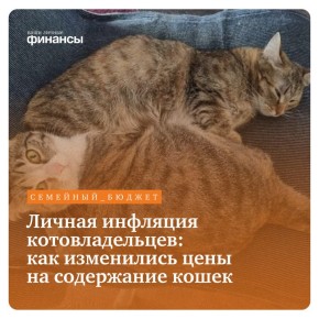 ��� ���� �� ���������� ����� ������� ��������� ������: ������ �������� ��������������