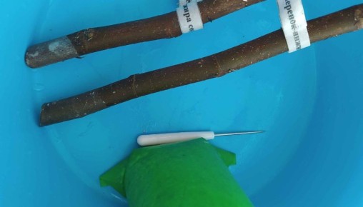 ���������� �������� ������: ������� ��������� �����������