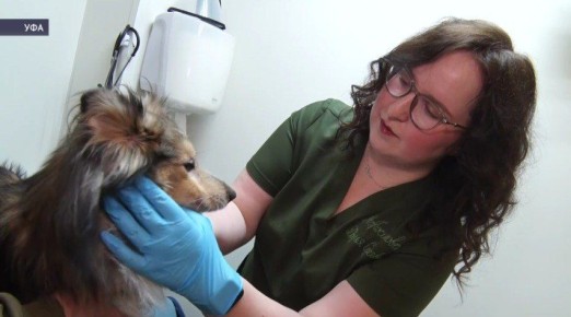 ������� �������� ����������, ��� ����������� �������� � ������ ����������