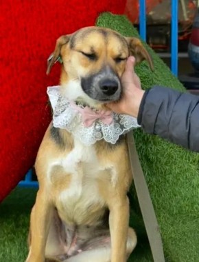 �������� ���� �� �������. ��� � ��� ������� ����� ������ ����������������� ����� ���� ��������, ������� ���� ������� � ������ ��������� �������� 28 �����, � 13:00 �� 15:00