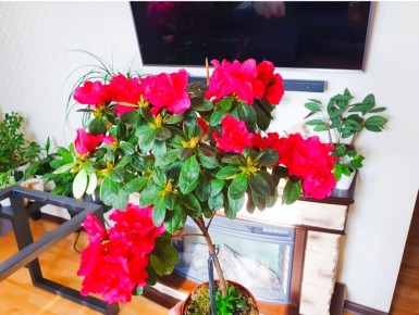 ��� �������� ��������� �������� ������: ������� ��� ����������