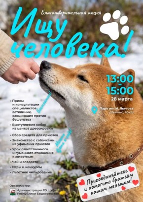 ������ �������: #���������. ���������� �������� ����� ������������ �������