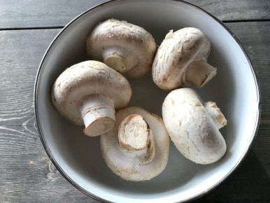 ������ ������ �� �����������: ������� � ������� ������ ��� ������