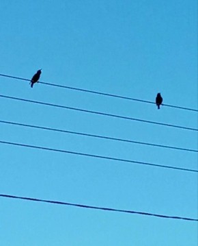 ������ ������� ��� �����. �� �������� � ���� ������