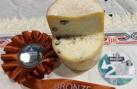 Сыр с муравьями: неожиданный деликатес из Бразилии