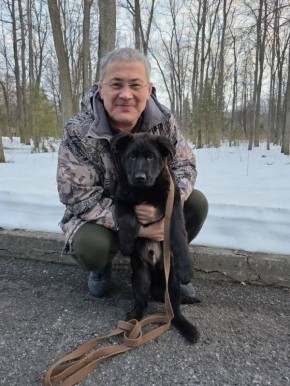 � ����� ����� �������� ����������