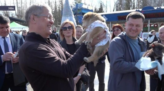 ����� �������� ������� �������� ����������������� ����� ���� ��������