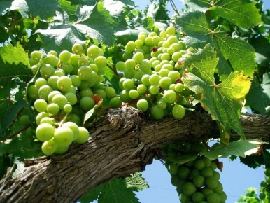 ��� ���������� ��������� ��������� � ������� �������� �� ������� ������