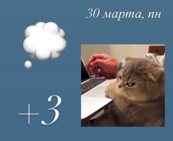 ������ ����! ���� ������� ������� ������!