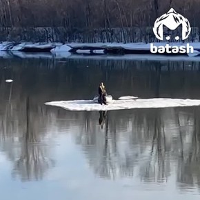 pov: � ����� ��������� ��� ��������� �������� �� ������ ������� �����