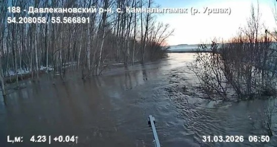 ��-�� ������� ������� ����