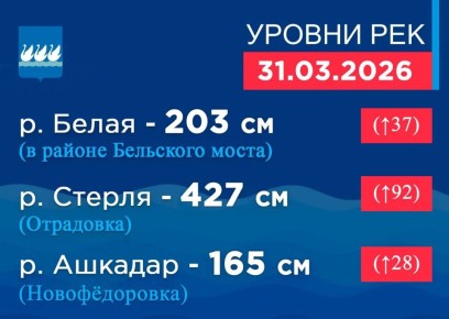 ������ ��� �� 8:00 31 �����