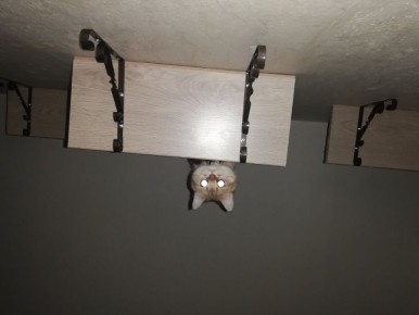 ��� ������� ������� ��������� ������ ������: ������������ �����������