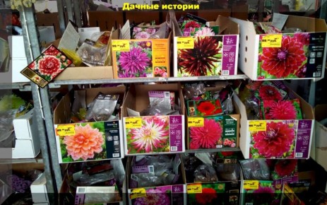 ��������: ��� �������, ��������� � ��������� �������� ����� � ����� ����