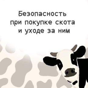 ���� �� ����������� �������� �������� ����, ������� ���� ��������