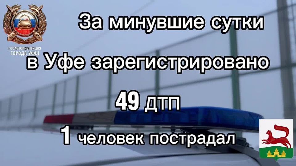 �� �������� ����� �� ���������� ������ ��� ������������ ���������������� ���������������� 49 �������-������������ ������������, ��������� 1 �������