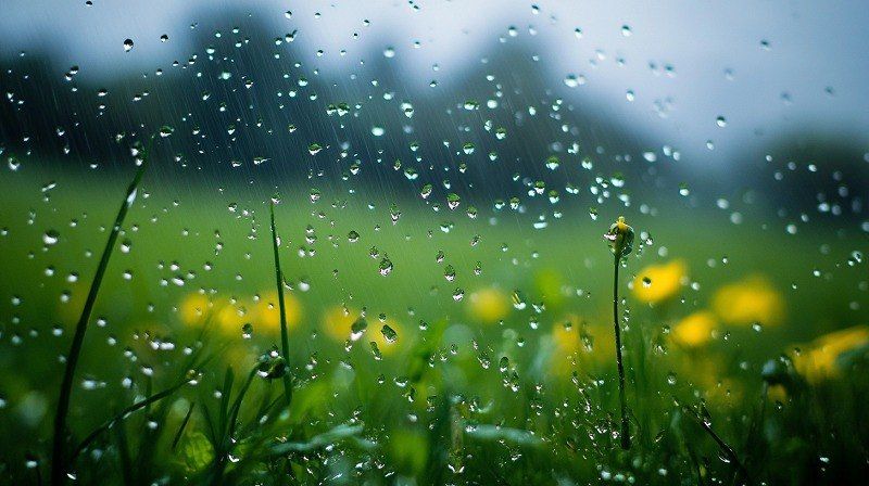 ������� ������������ � ������ �������� �����