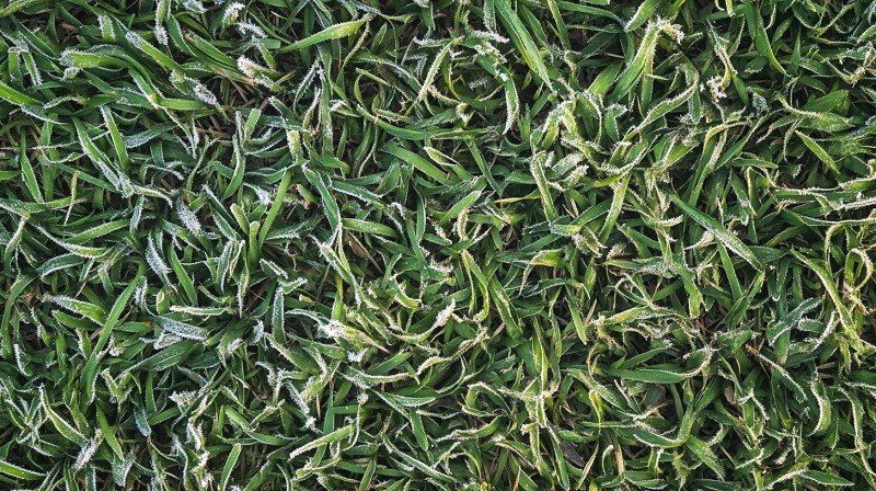 � �������� ����� ����������� ����� ������ �����