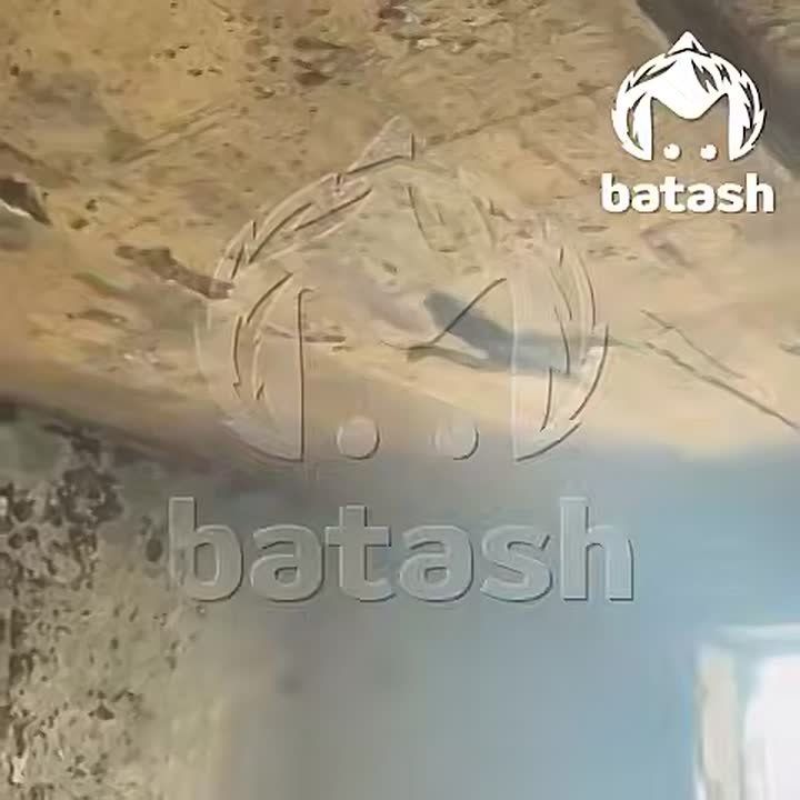 ��� ���� � ������ ��� ���������� �� �������� ����� ����� ������� ������������