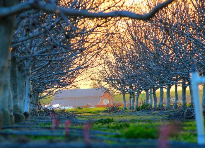 ��� ��������� ������� ������: �������� ������