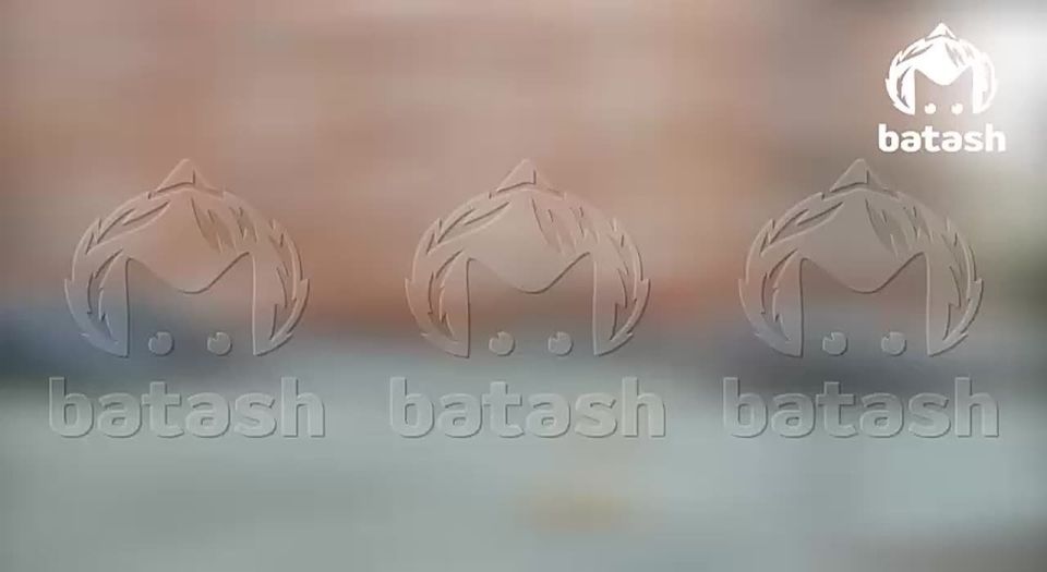 ������ ������� ����������� ���� �� 16-������� ��� � ������ ���