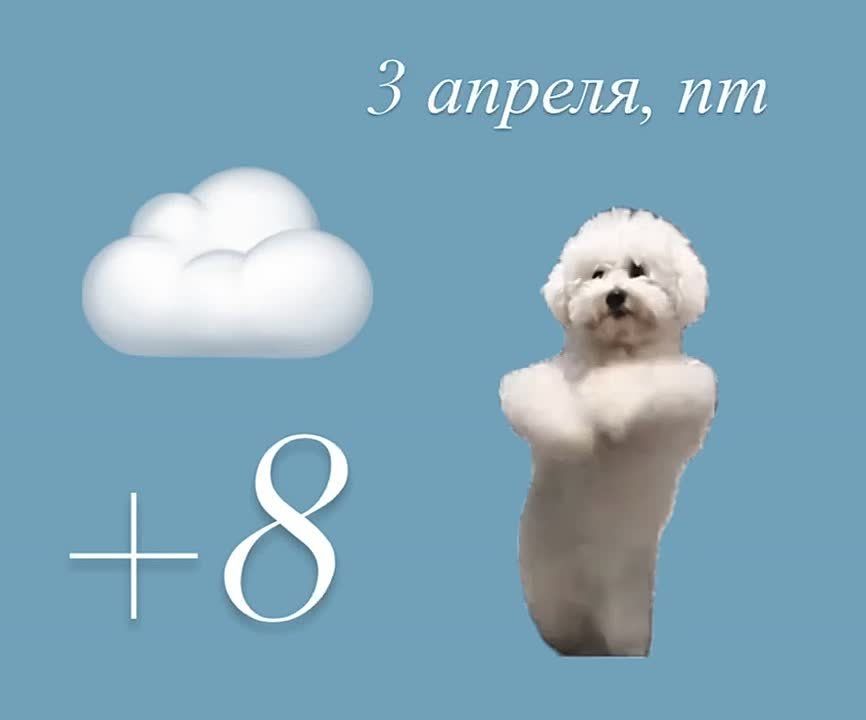 ������ ���� � ��������