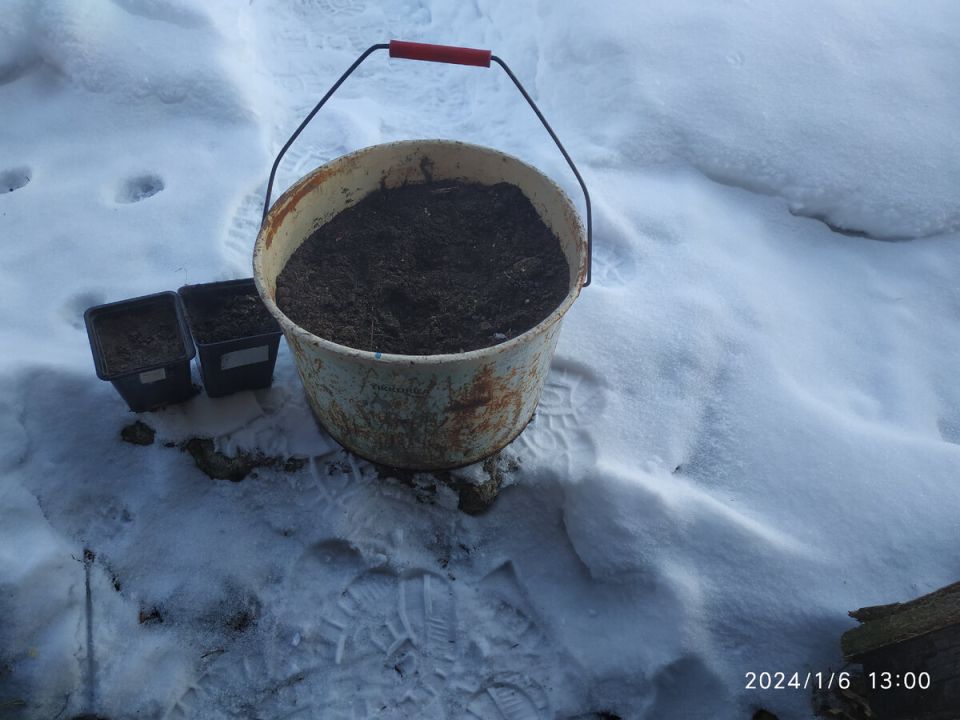 ��������� ����� ��� �������: ��� ������� ������� ����������� ��� ����� ������ � �������