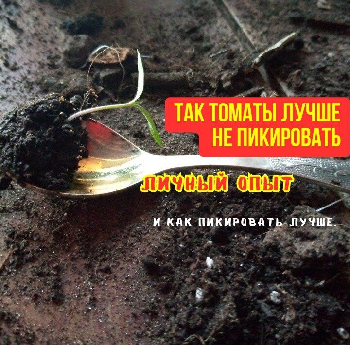 ������� ��������� ��������� �������: ��������� ���������������� ������