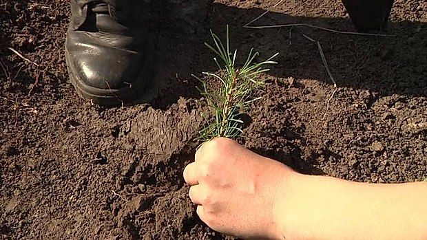 � ��� ����� ����� ������������� ������