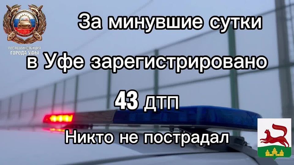 �� �������� ����� �� ���������� ������ ��� ������������ ���������������� ���������������� 43 �������-������������ ������������, ����� �� ���������