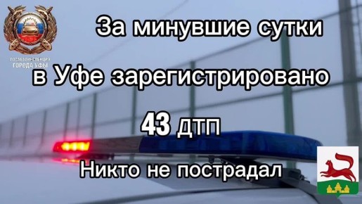 �� �������� ����� �� ���������� ������ ��� ������������ ���������������� ���������������� 43 �������-������������ ������������, ����� �� ���������