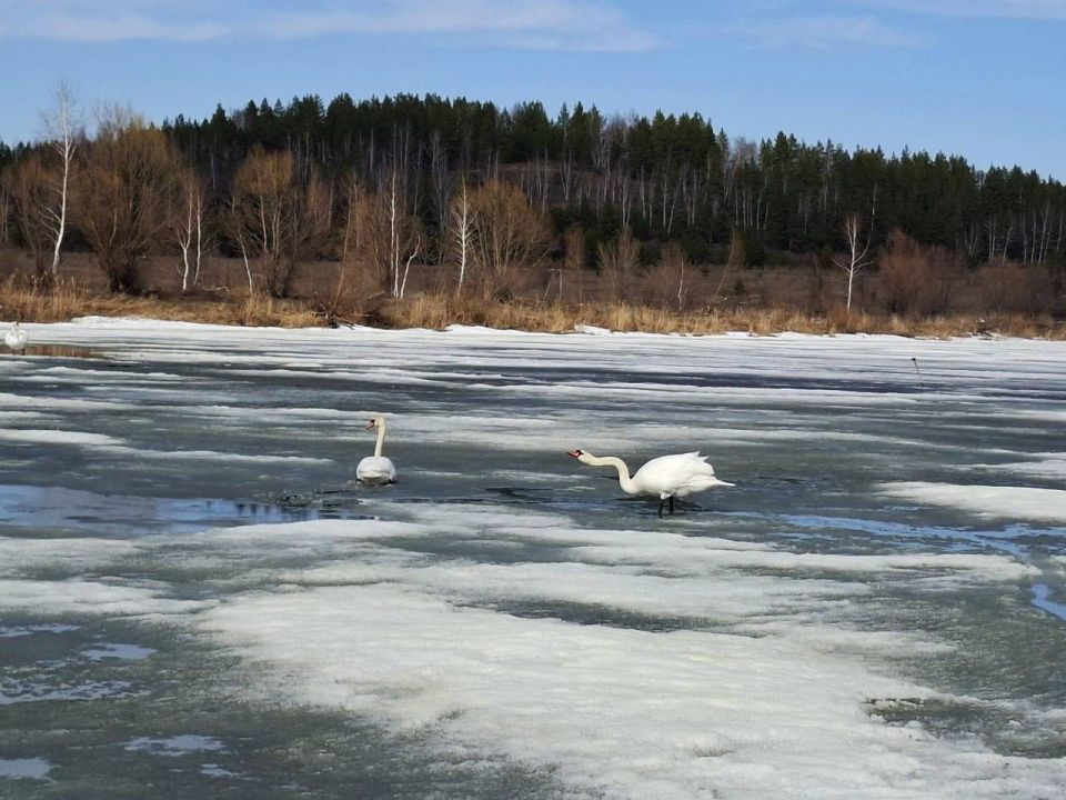 ������ ���������, � �� ��� �� ����