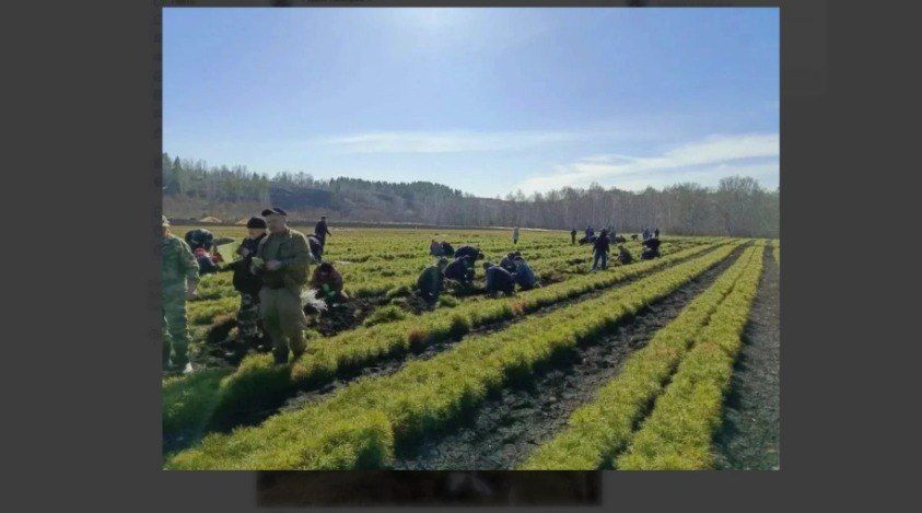 � �������� ����������� ������ ���������� �� ������� 14 ����� ��