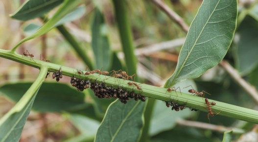 ��� �������� ���� ������ �� ��� ��� �����: ����������� ����������� ������