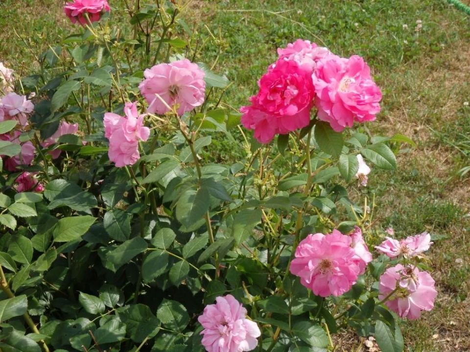 ���� � ��������: ������� ������ �������� � ����� �� ����������