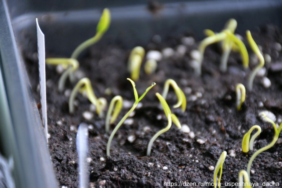 ����� � �����������: ��� ���������� ������� ������ � ������ �����