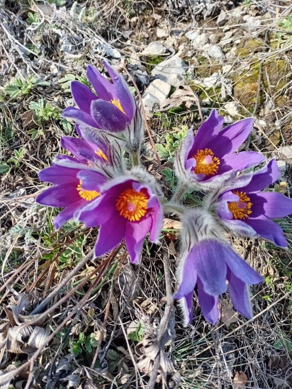 ���������� ���� ������� ������ �������� ������������� ������