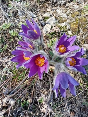 ���������� ���� ������� ������ �������� ������������� ������