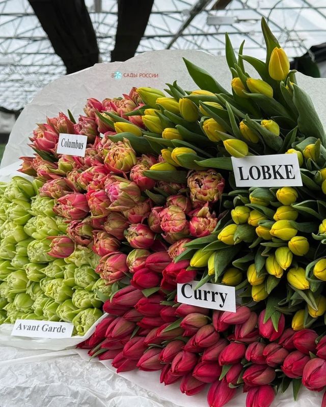 ��� ����� ������ ������� ��������� ����� � 8 �����