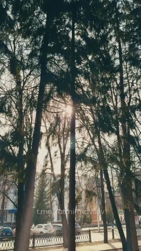 ������ �������: ����� � #����������. ����� �����������!