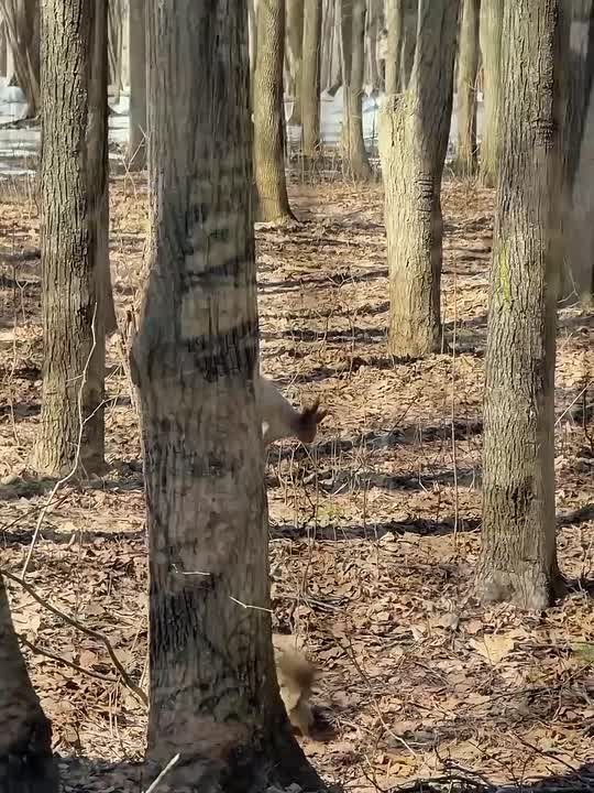 ����������, ��� ����� �������� ����� ������ ������ ������� � ������ - ����� ������ �����: ������� ������ ����