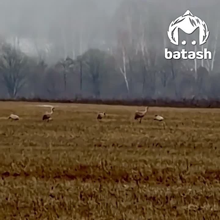 ���������� ��� � ����� ����� ������� ������: ����� ������� ������� � ������������� ������