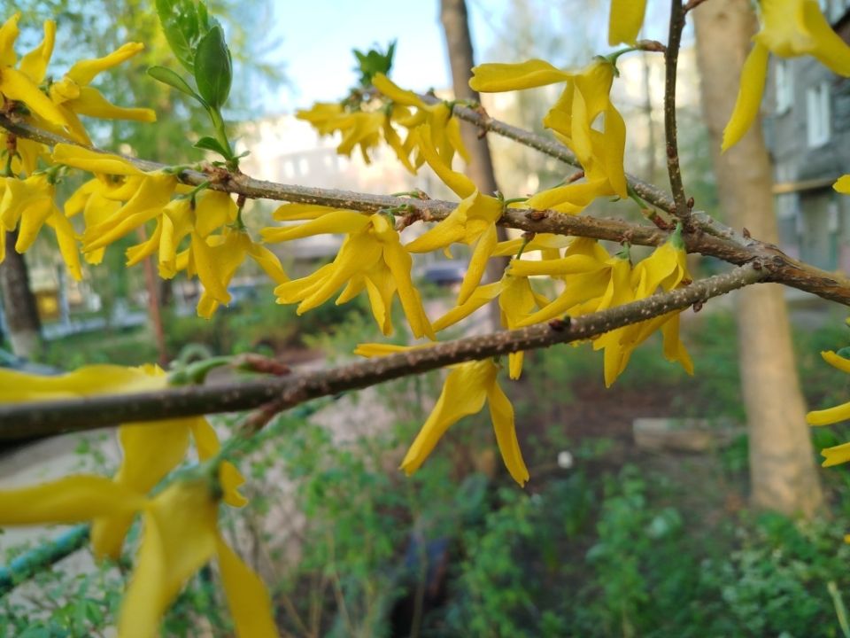 �������� ���� � ����: ��� ��������� �������� � ������������ �� ���������