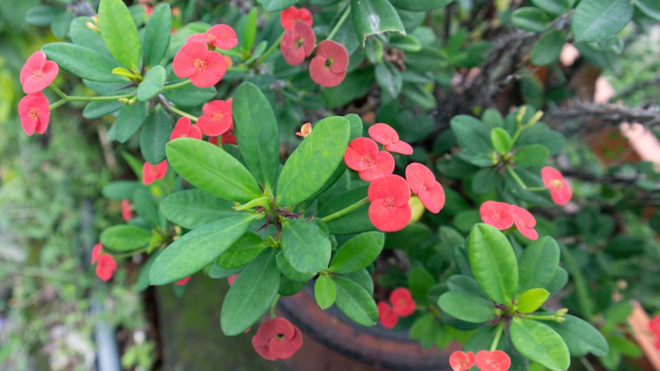 ������� ����: ����� ������ �� ������� ������ � ��������� ���������