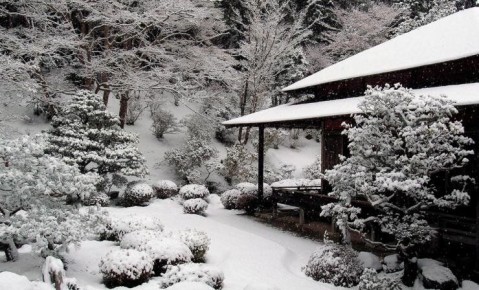 Подготовка к садоводческому сезону: важные мероприятия с 21 по 27 декабря