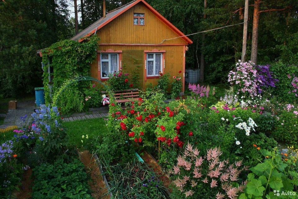 ��� �������� ������� �� ����: ������� ������ ��� ����������� ������