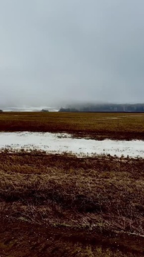 ����� ���������� ����� ��������