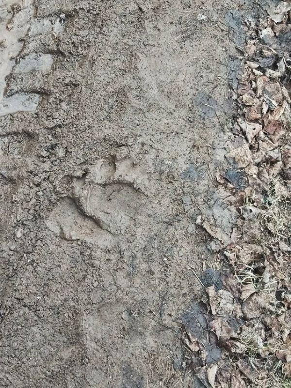 �������� ����� ������������� �������